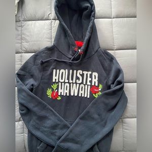 Men’s Hollister Hoodie
